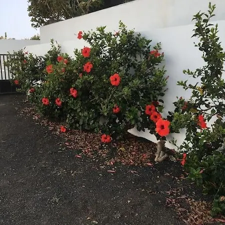 Holiday home Perle Des Meeres Charco del Palo
