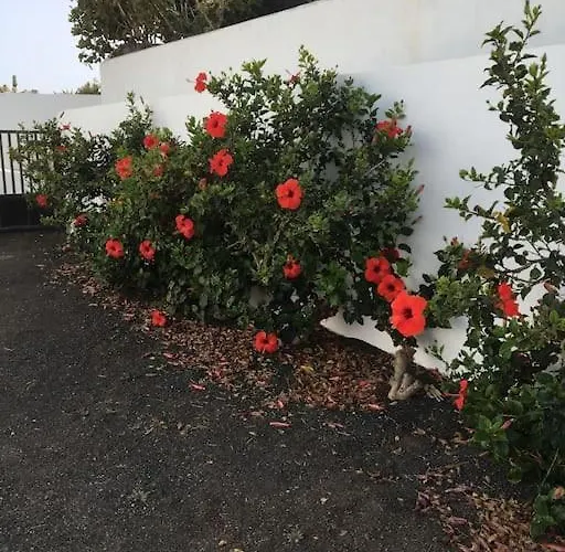 Σπίτι διακοπών Perle Des Meeres Charco del Palo